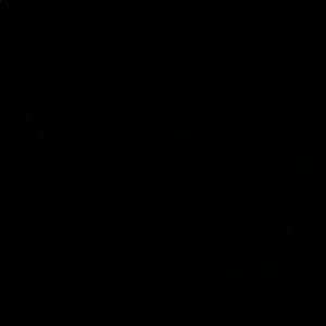 Meet your Posher, Mariam